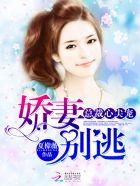 总裁心尖宠宝贝别想逃