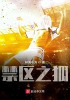 我真没想当训练家啊怎么样