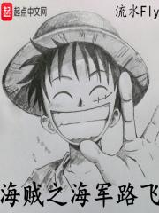 海贼王之路飞